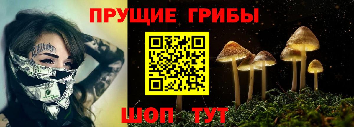 Псилоцибиновые грибы Psilocybine cubensis  Галлюциногенные грибы Psilocybe  Ревда  Вход с VPN 